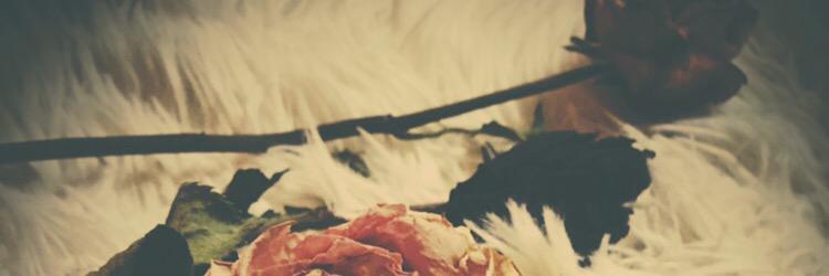 CvcvCvcvj's profile banner image