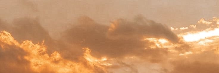 rnargarida's profile banner image