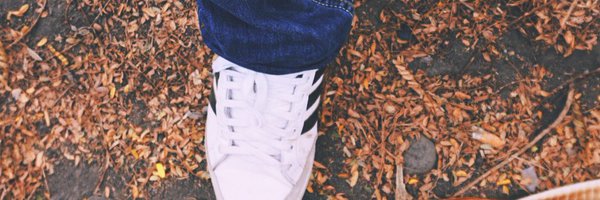 Ridyans Profile Banner