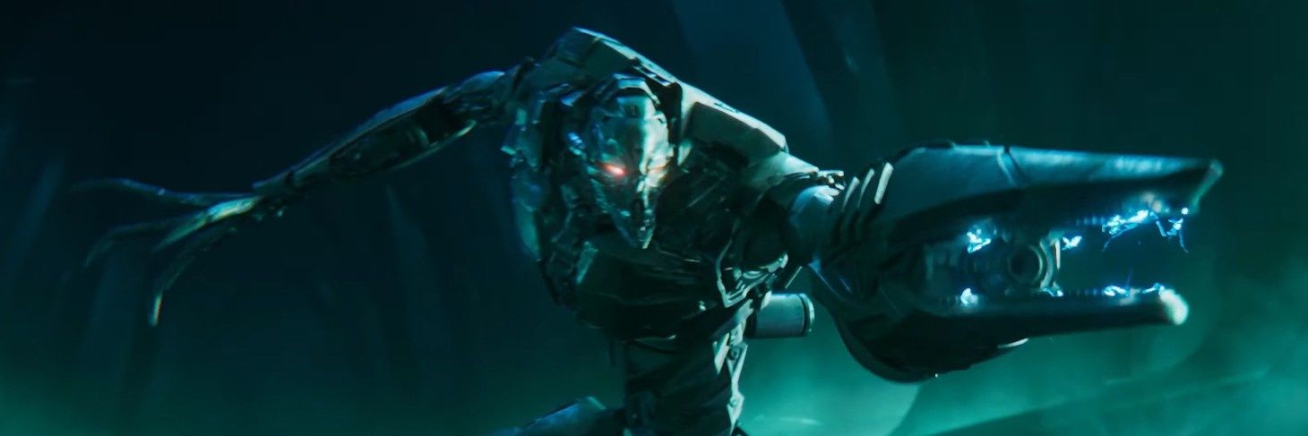 Robert Rappoport banner