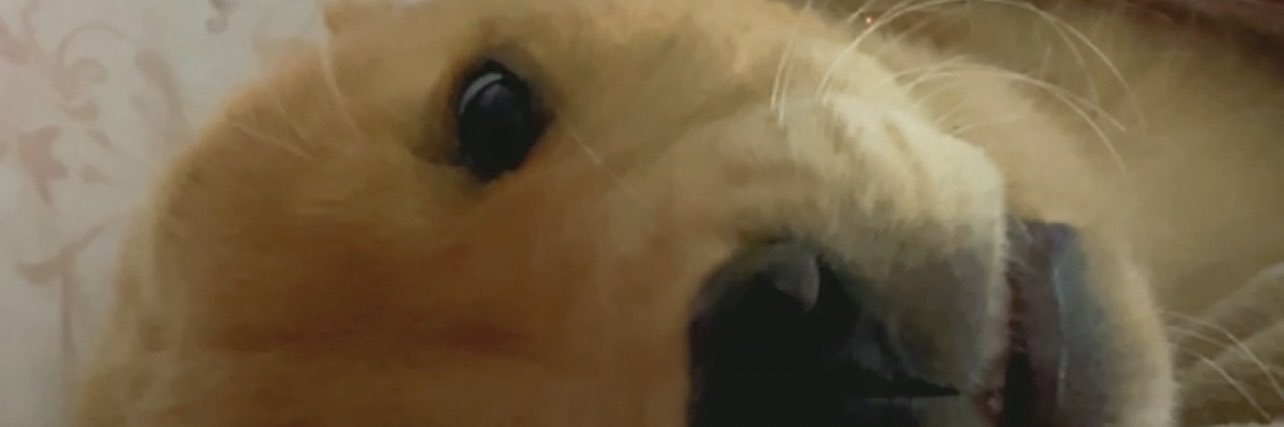 http_flavi's profile banner image