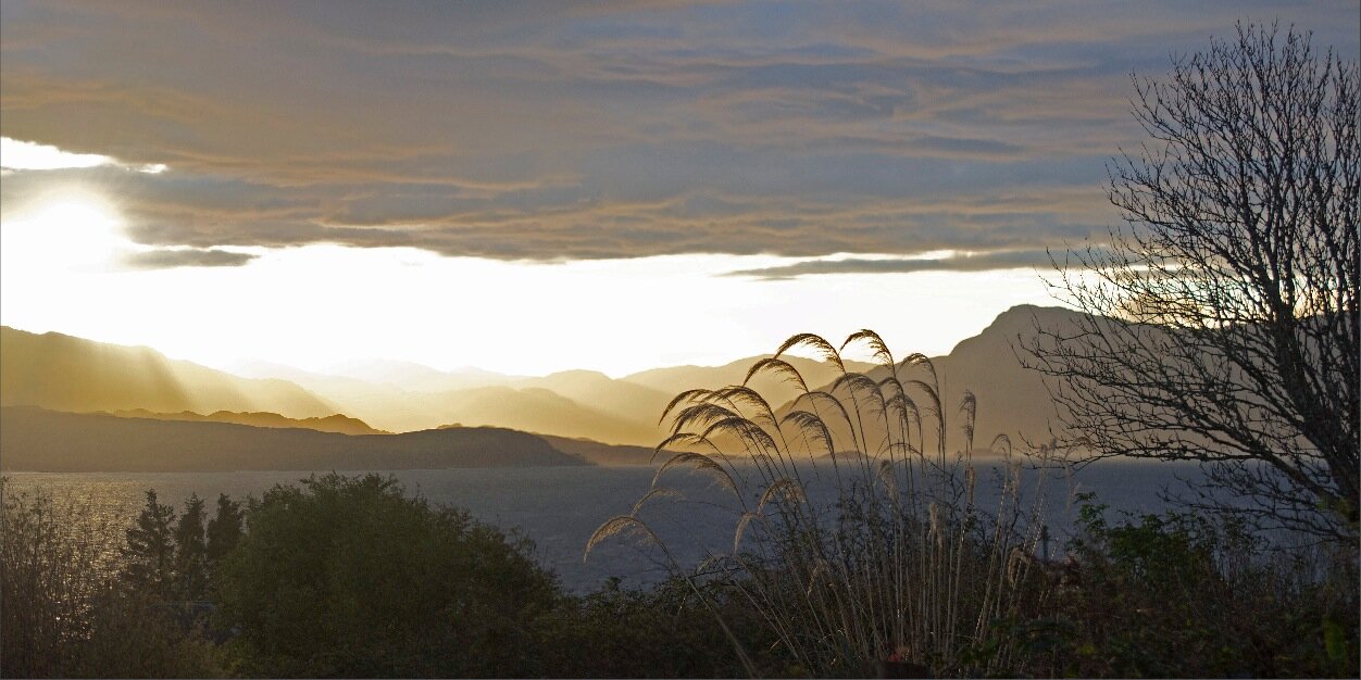 JanetMacLeod's profile banner image