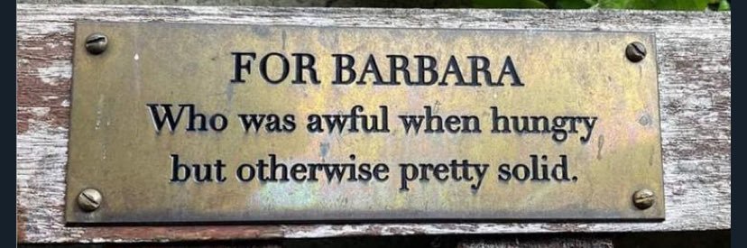 Babs Khan banner