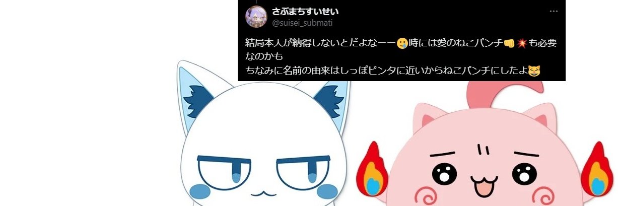 ねこパンチ☄️🌸 banner