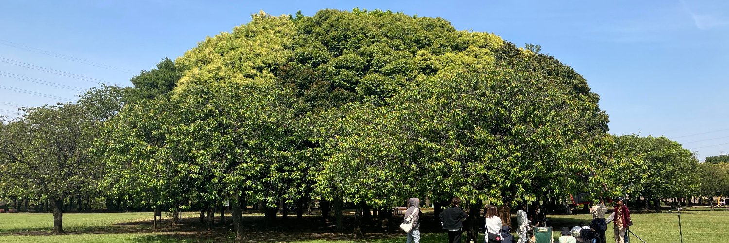 東京藝術大学大学院映像研究科 サウンドデザイン領域's banner
