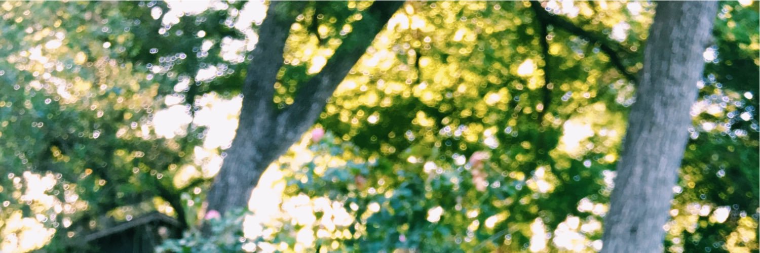 thathoopy's profile banner image