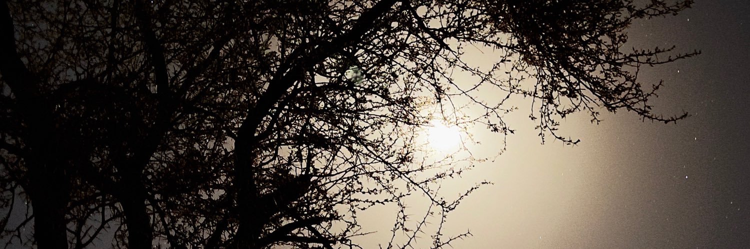 a_00RF's profile banner image
