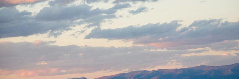 ALivelyLife's profile banner image
