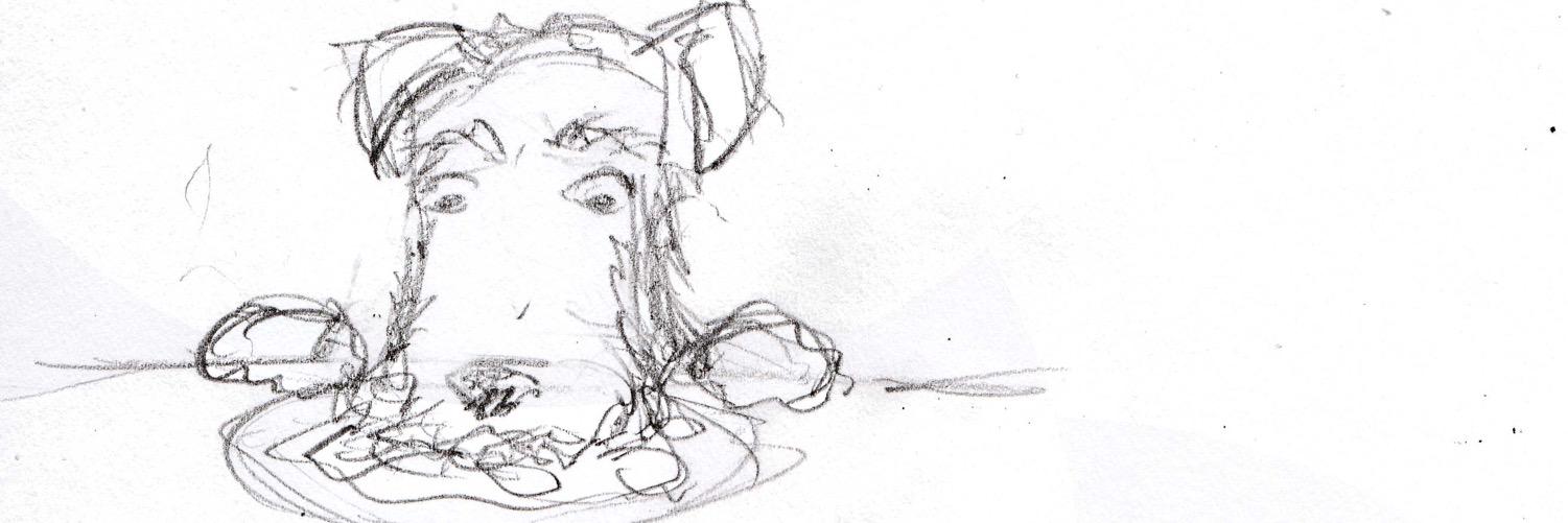 Higgins The Airedale banner