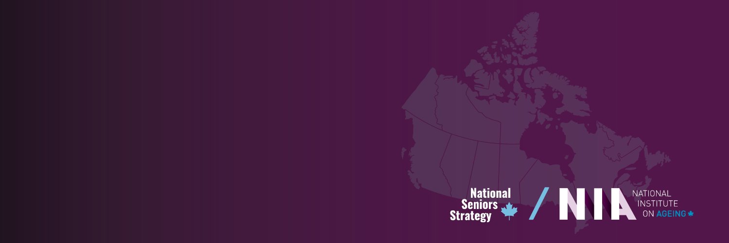 Seniors Strategy Now banner