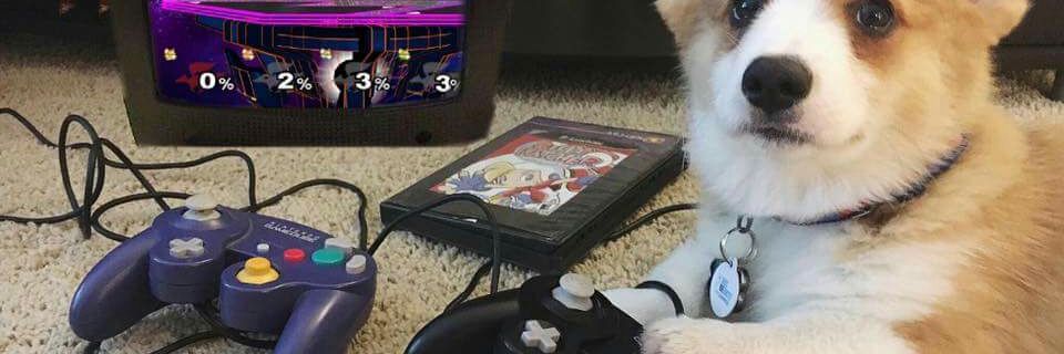 Tobiitto's profile banner image