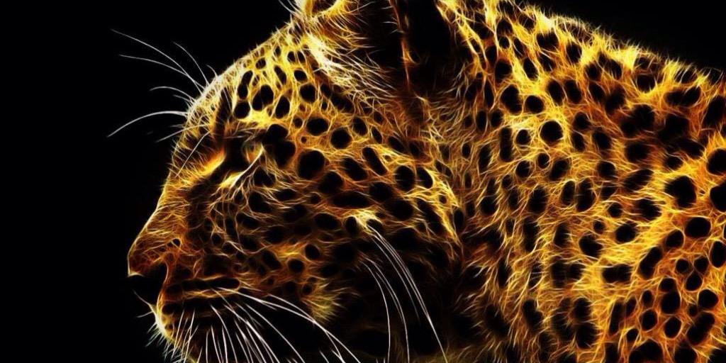 Airsoftified's profile banner image