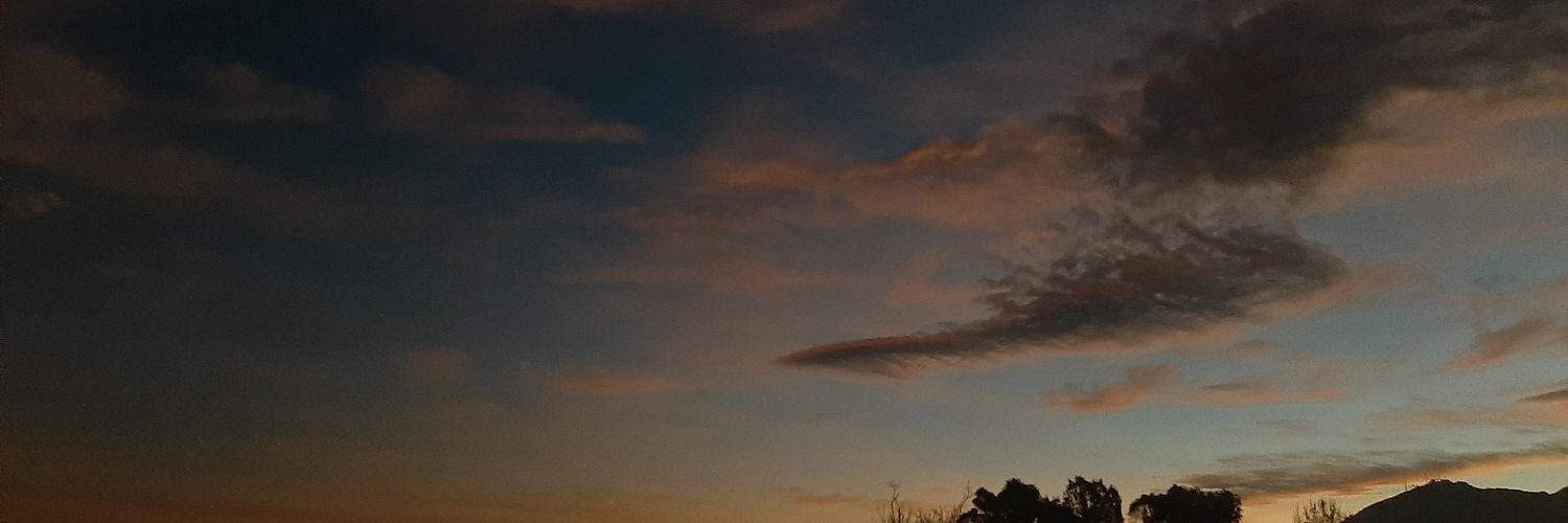 _Valenariza's profile banner image