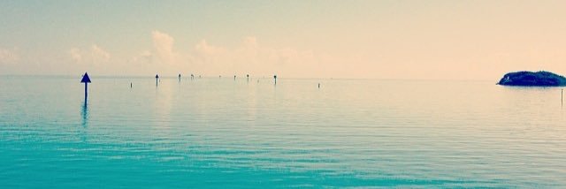 CaseyMarieR's profile banner image