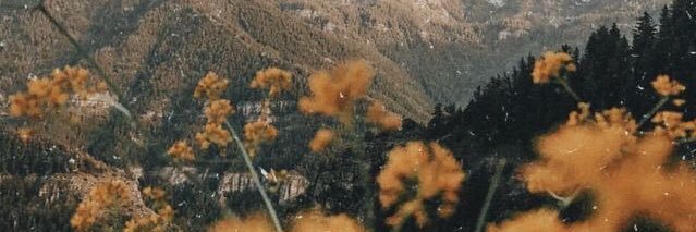 WhitneyBoone02's profile banner image