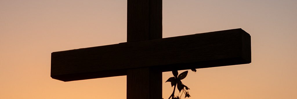 miacheetoss's profile banner image