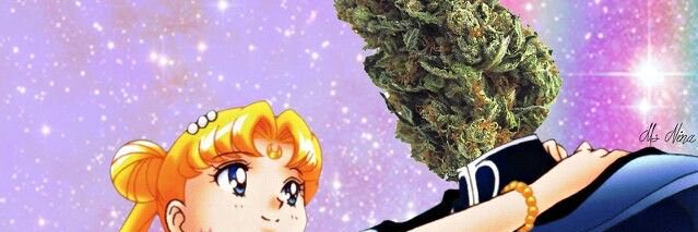 stacesayswhat's profile banner image