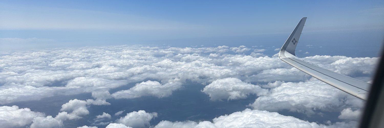 dalilyt's profile banner image