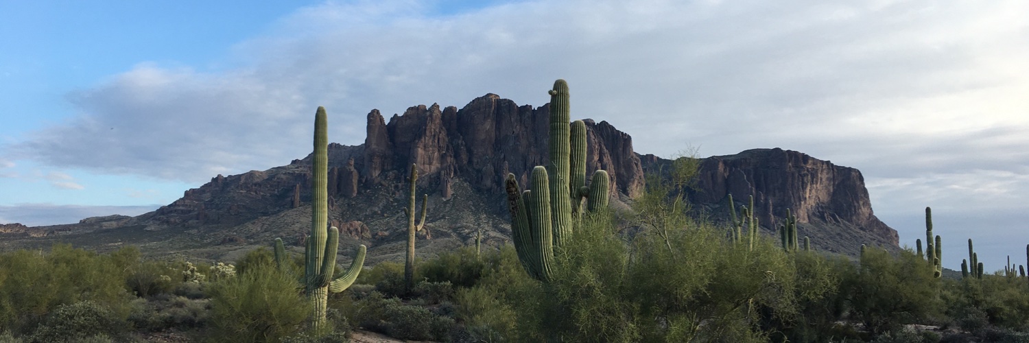 Calvin Schermerhorn banner