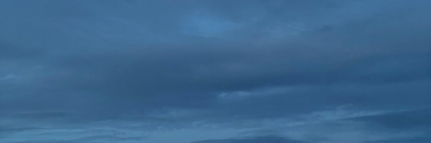 brenda banner