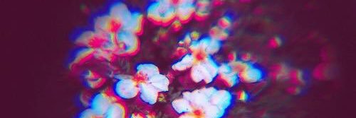 CaitlinRae24's profile banner image