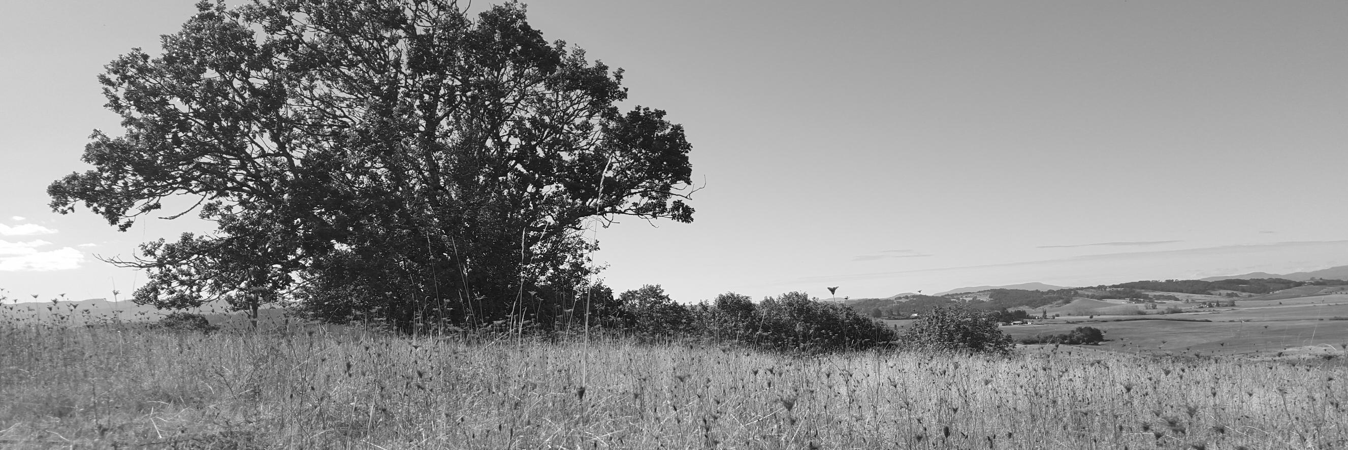 DebbieJPetty's profile banner image