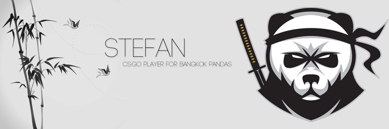 stef4nCSGO's profile banner image