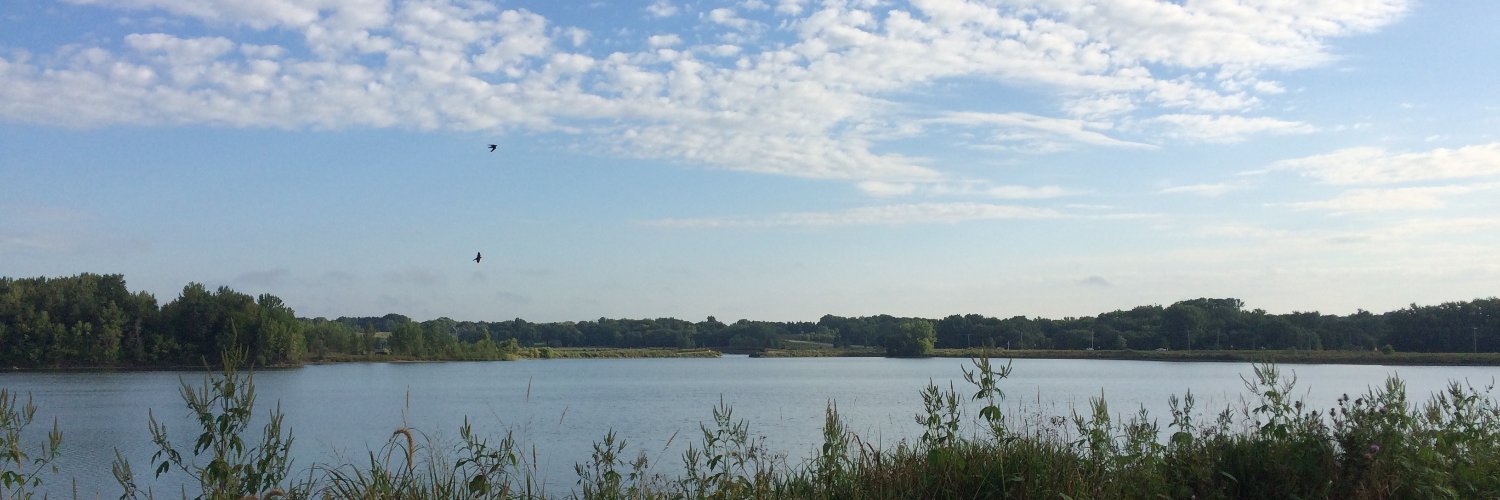 Adele Quigley-McBride banner