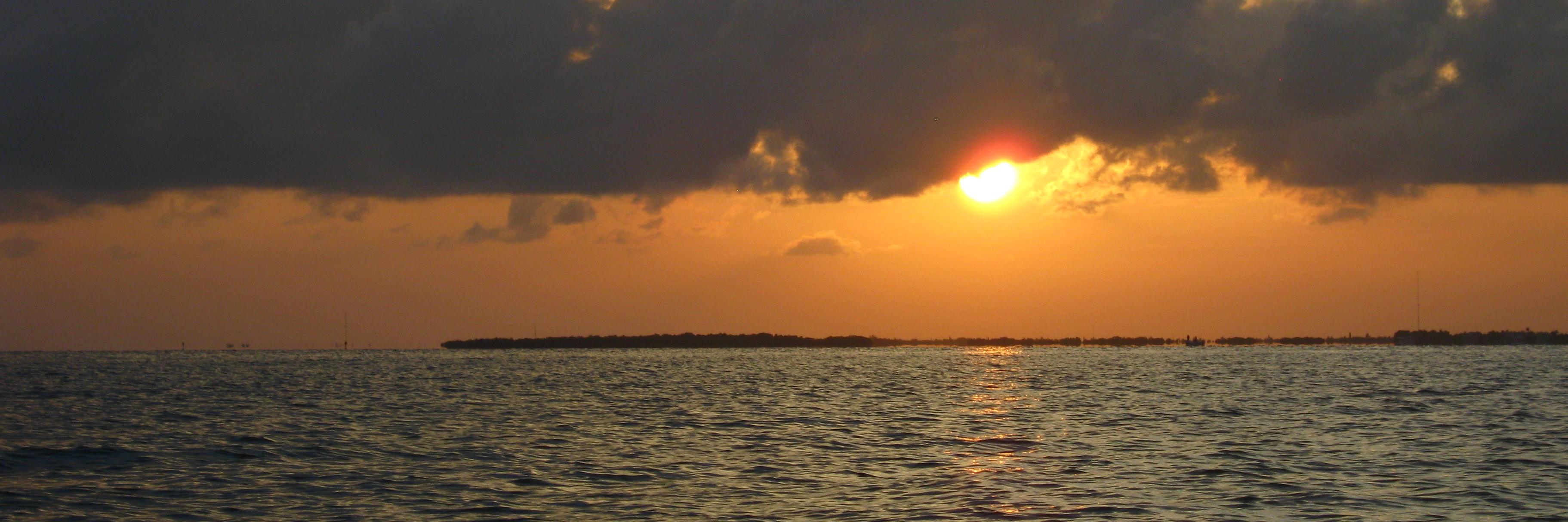 Crew 2335 Comn Ofcr banner