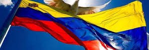 CarolinaManosal's profile banner image