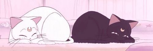 goth pixie bitch banner