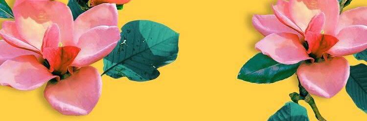 MarchisoneCami's profile banner image
