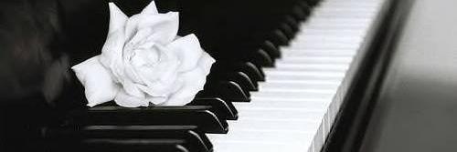YoPramudita's profile banner image