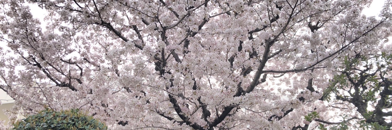 ウラウラ banner