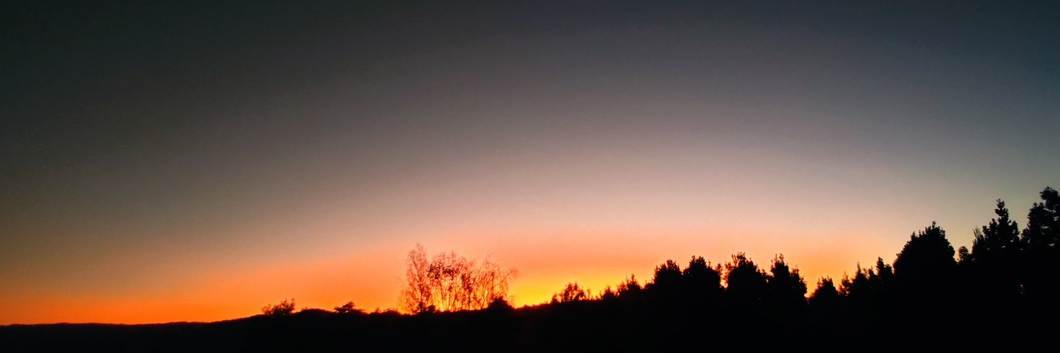 RobertTheBruce banner