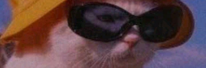 Vicviccvic's profile banner image