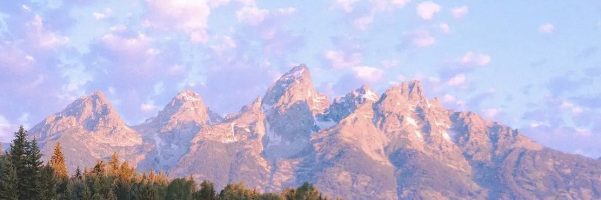 eveybearr's profile banner image