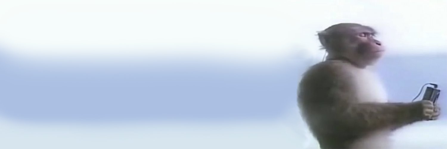Scalabrin banner