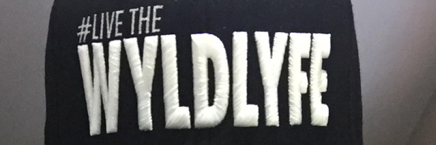 Iamteddynyc's profile banner image