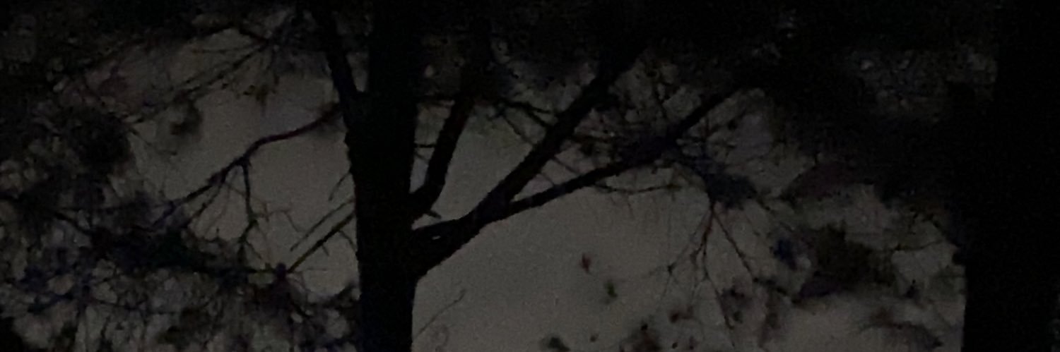dill banner