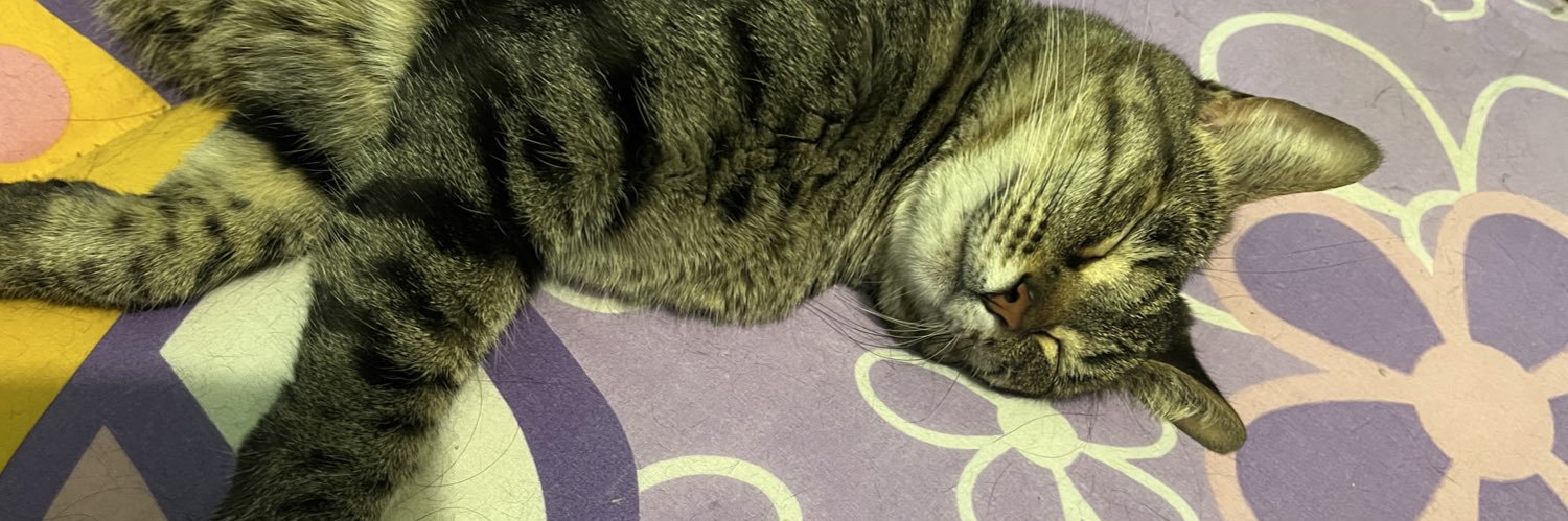 blisterfurz's profile banner image
