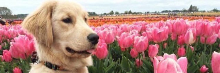 CarterStroud's profile banner image