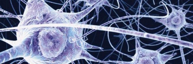 ChemoBrainRsrch's profile banner image