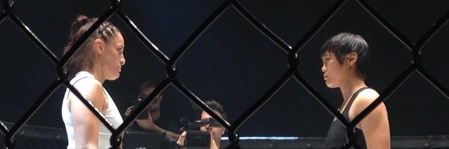 WombatSports's profile banner image