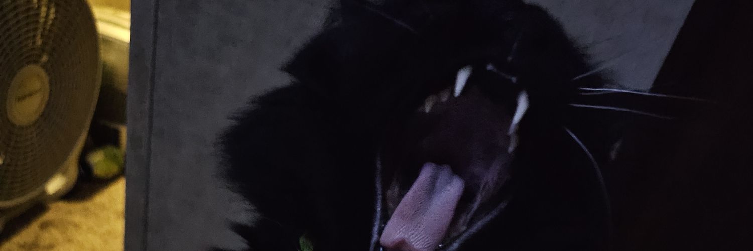 kay_trapp's profile banner image