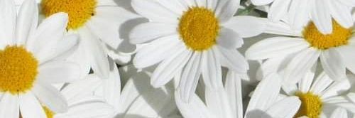 Zacnitegp's profile banner image