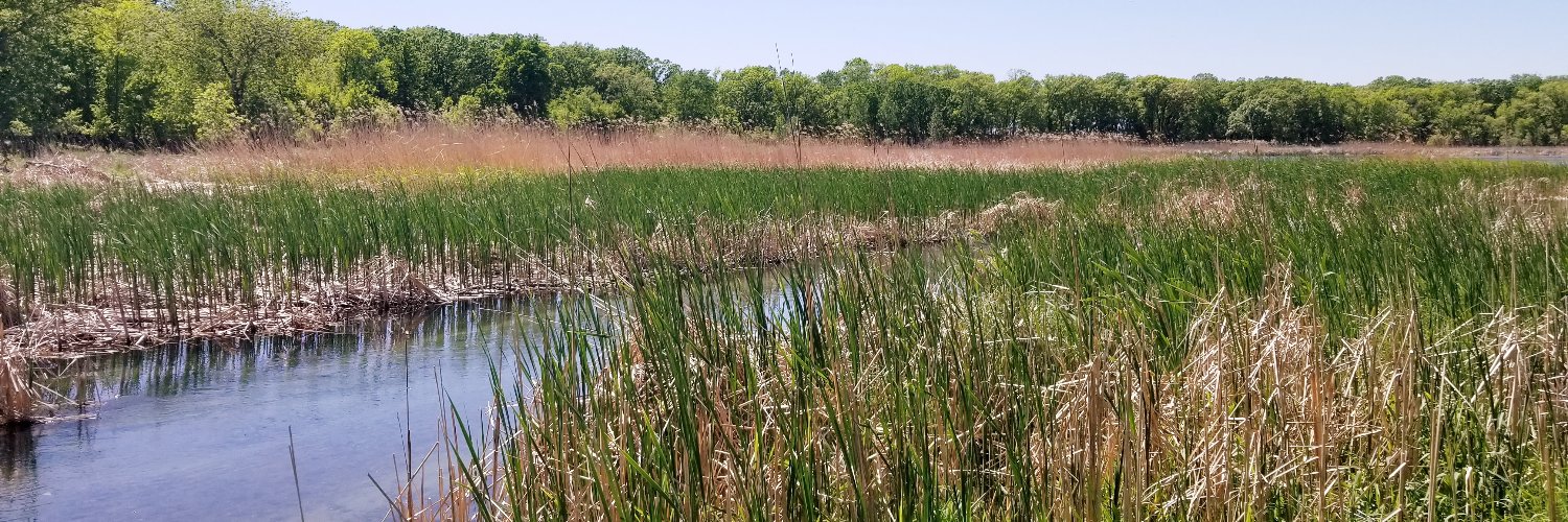 Timothy Lindberg banner