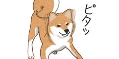 mooky1192's profile banner image