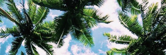 haley_t13's profile banner image