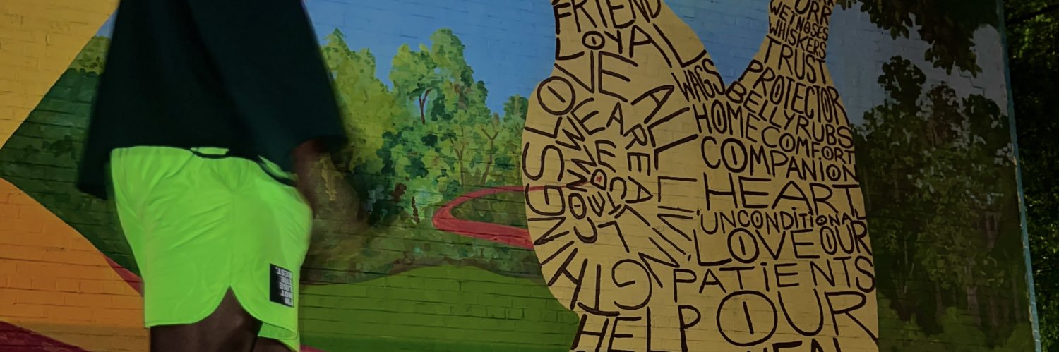 PicPerfectBoot's profile banner image
